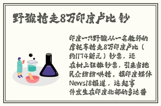 99re66在线观看精品免费